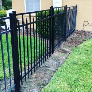 Backyard Iron Fencing for Dogs